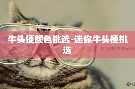 牛頭梗顏色挑選-迷你牛頭梗挑選