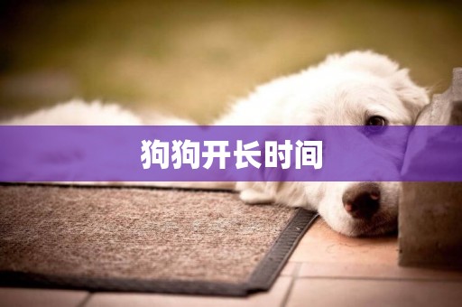 狗狗開長時間