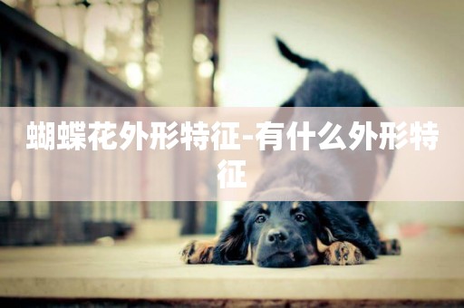 蝴蝶花外形特征-有什么外形特征