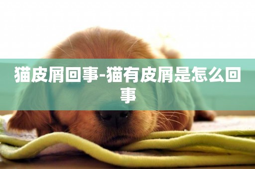 貓皮屑回事-貓有皮屑是怎么回事