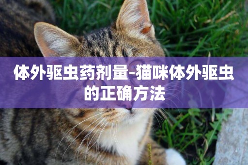 體外驅蟲藥劑量-貓咪體外驅蟲的正確方法