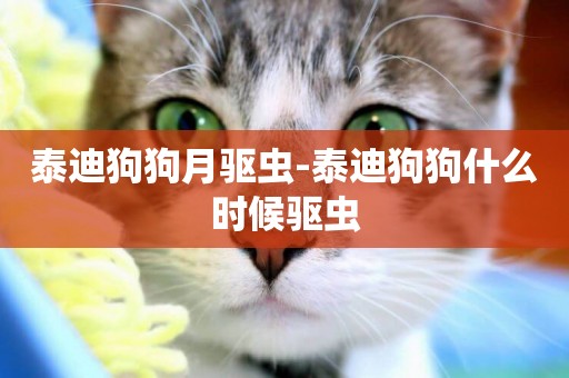 泰迪狗狗月驅蟲-泰迪狗狗什么時候驅蟲