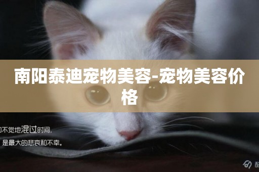 南陽泰迪寵物美容-寵物美容價格