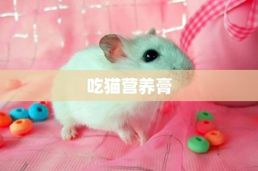 吃貓營養膏