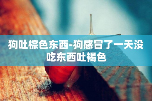 狗吐棕色東西-狗感冒了一天沒吃東西吐褐色