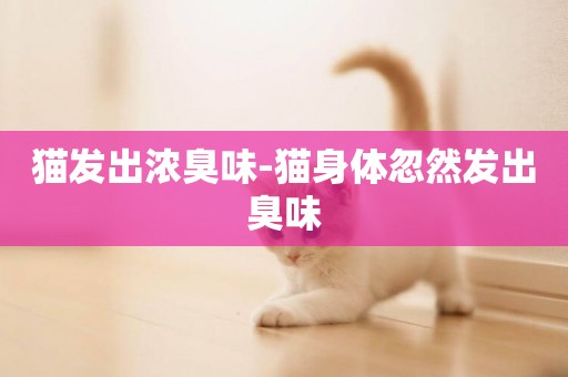 貓發出濃臭味-貓身體忽然發出臭味