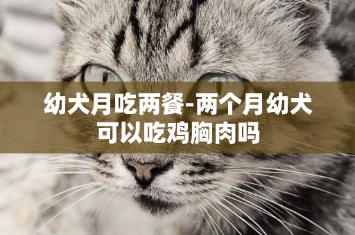 幼犬月吃兩餐-兩個月幼犬可以吃雞胸肉嗎