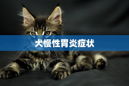 犬慢性胃炎癥狀