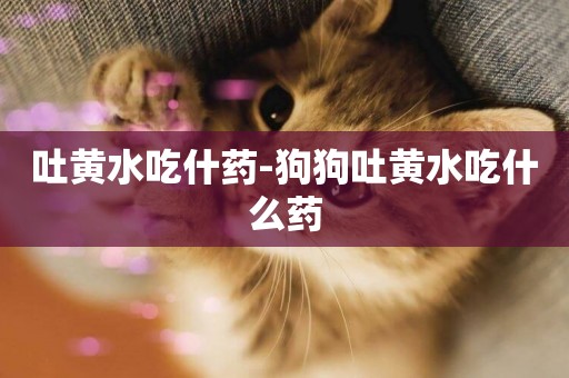 吐黃水吃什藥-狗狗吐黃水吃什么藥