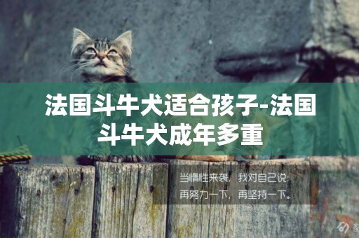 法國斗牛犬適合孩子-法國斗牛犬成年多重