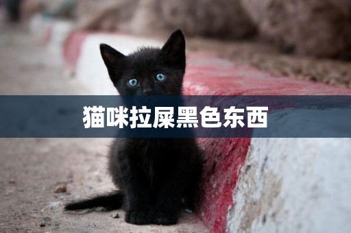 貓咪拉屎黑色東西