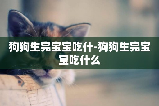 狗狗生完寶寶吃什-狗狗生完寶寶吃什么