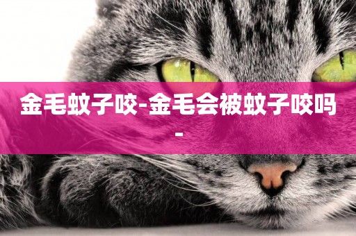 金毛蚊子咬-金毛會被蚊子咬嗎-