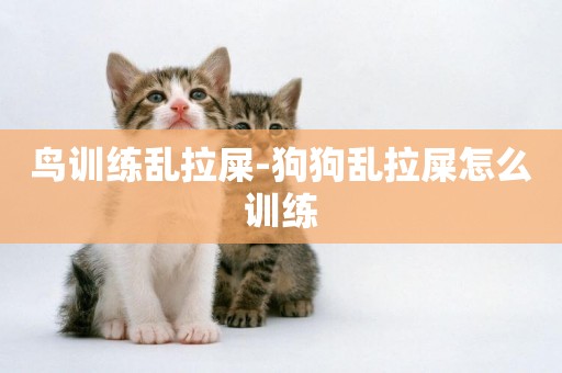 鳥訓練亂拉屎-狗狗亂拉屎怎么訓練