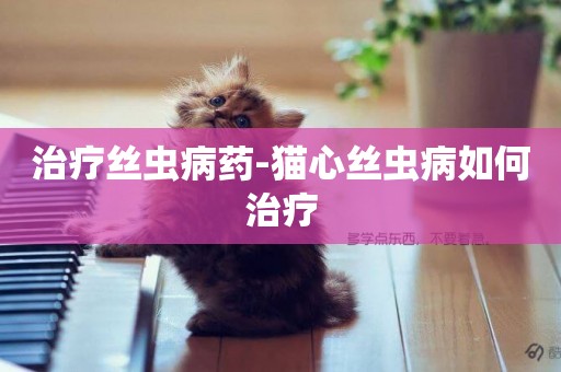 治療絲蟲病藥-貓心絲蟲病如何治療