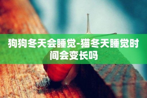 狗狗冬天會睡覺-貓冬天睡覺時間會變長嗎