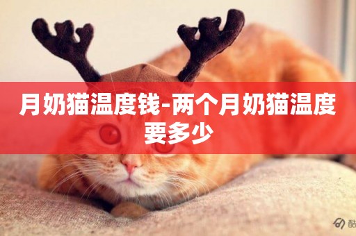 月奶貓溫度錢-兩個月奶貓溫度要多少