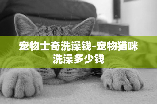 寵物士奇洗澡錢-寵物貓咪洗澡多少錢