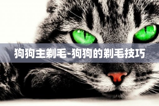 狗狗主剃毛-狗狗的剃毛技巧