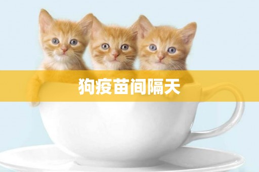 狗疫苗間隔天