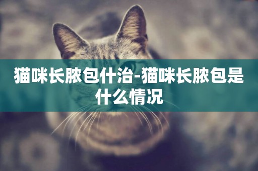 貓咪長膿包什治-貓咪長膿包是什么情況