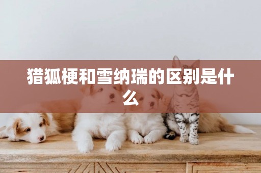 獵狐梗和雪納瑞的區別是什么