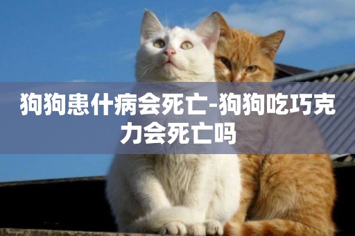 狗狗患什病會死亡-狗狗吃巧克力會死亡嗎