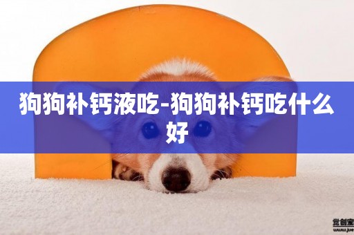 狗狗補鈣液吃-狗狗補鈣吃什么好