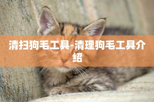 清掃狗毛工具-清理狗毛工具介紹