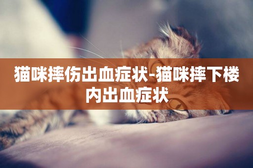 貓咪摔傷出血癥狀-貓咪摔下樓內出血癥狀