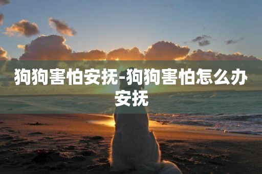狗狗害怕安撫-狗狗害怕怎么辦安撫