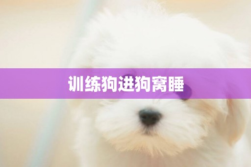 訓練狗進狗窩睡