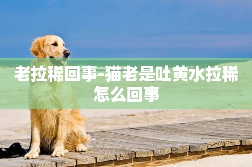 老拉稀回事-貓老是吐黃水拉稀怎么回事
