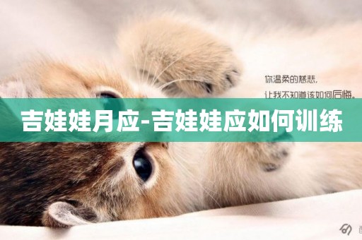 吉娃娃月應-吉娃娃應如何訓練