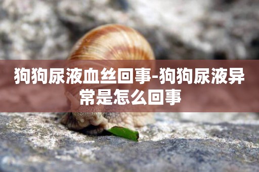 狗狗尿液血絲回事-狗狗尿液異常是怎么回事