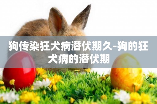 狗傳染狂犬病潛伏期久-狗的狂犬病的潛伏期
