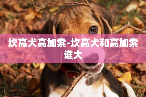坎高犬高加索-坎高犬和高加索誰大