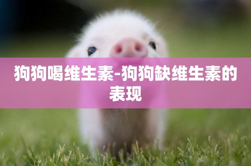 狗狗喝維生素-狗狗缺維生素的表現