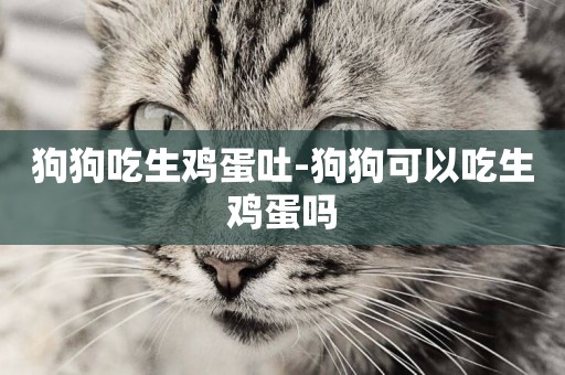 狗狗吃生雞蛋吐-狗狗可以吃生雞蛋嗎