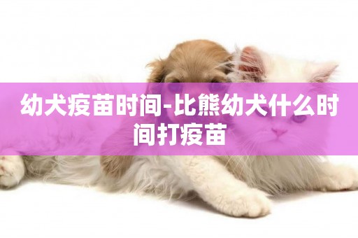幼犬疫苗時間-比熊幼犬什么時間打疫苗