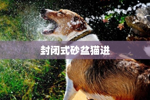封閉式砂盆貓進