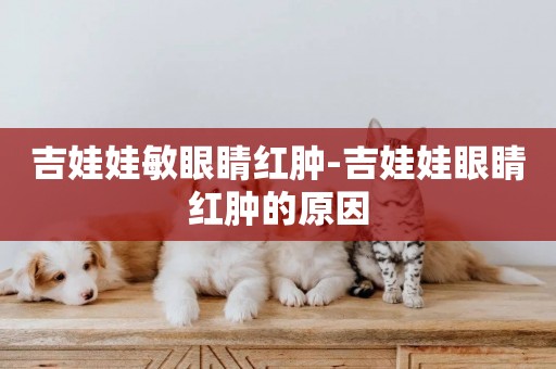吉娃娃敏眼睛紅腫-吉娃娃眼睛紅腫的原因