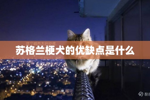 蘇格蘭梗犬的優缺點是什么