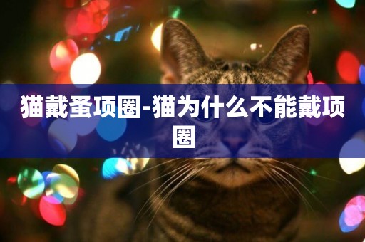 貓戴蚤項圈-貓為什么不能戴項圈