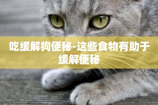 吃緩解狗便秘-這些食物有助于緩解便秘