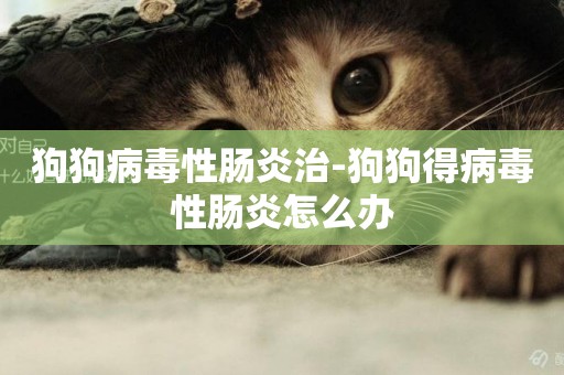 狗狗病毒性腸炎治-狗狗得病毒性腸炎怎么辦