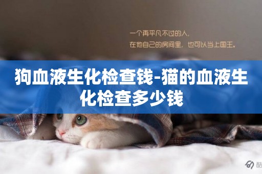 狗血液生化檢查錢-貓的血液生化檢查多少錢