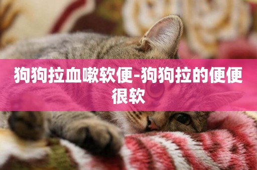 狗狗拉血嗽軟便-狗狗拉的便便很軟