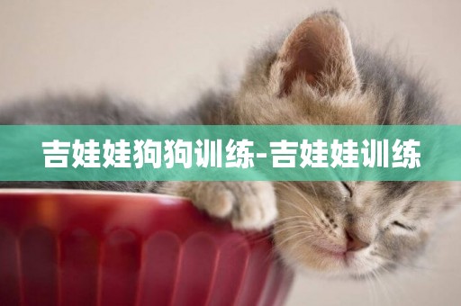 吉娃娃狗狗訓練-吉娃娃訓練