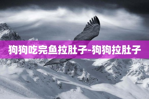 狗狗吃完魚拉肚子-狗狗拉肚子